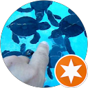 A A (Eckwitte) profile picture