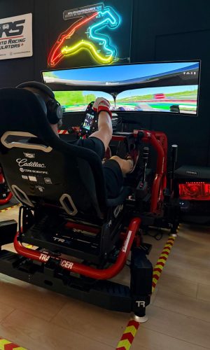 Pro level racing simulator